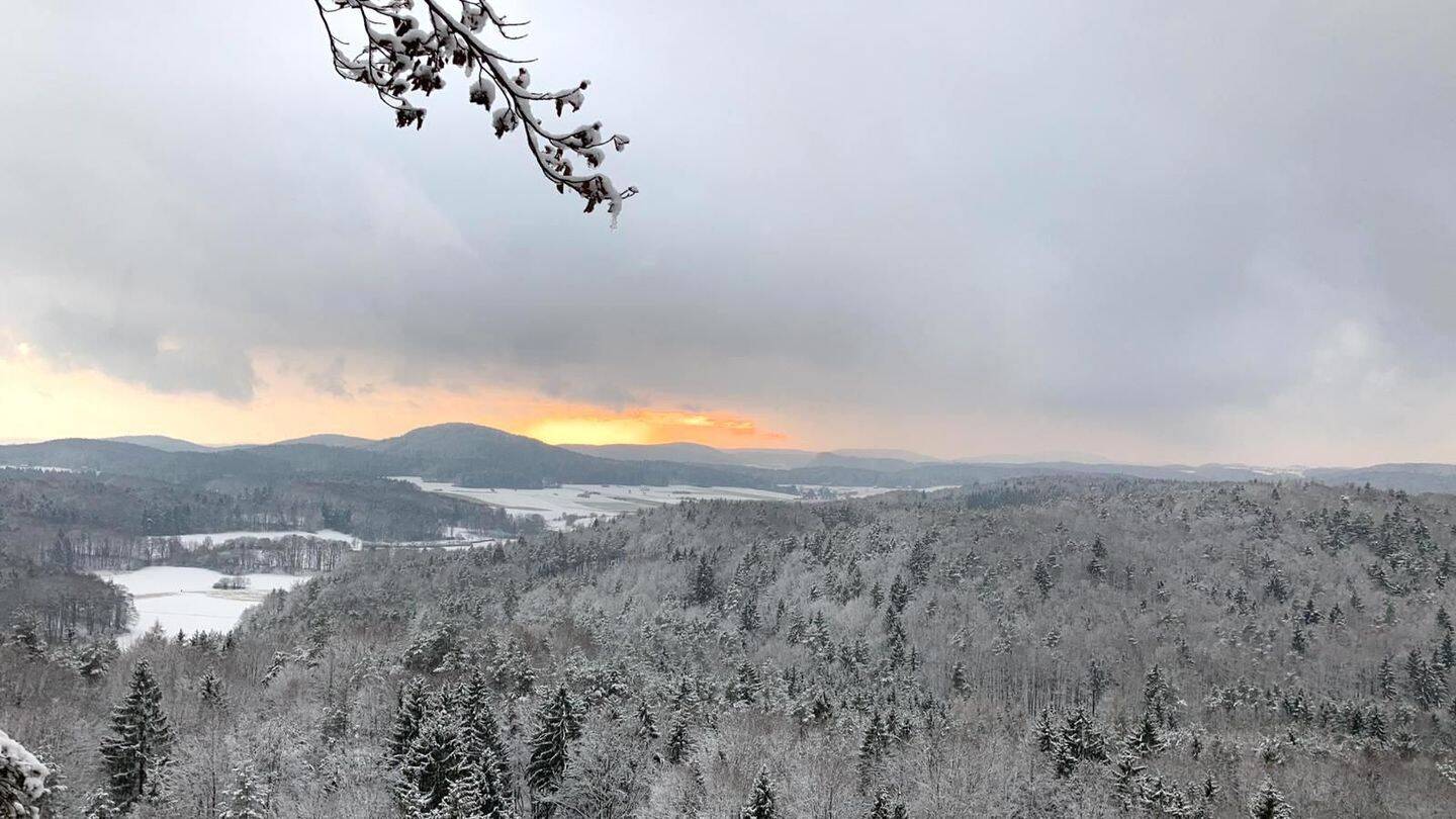 Immobilie in Reichenschwand - Für Naturliebhaber!!!  Ideales naturbelassenes Grundstück mit Einfamilienhaus - Bild 1