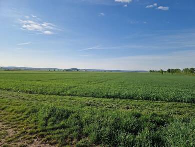 Land-/Forstwirtschaft zum Kauf 48.788 m² Grundstück Deiningen 86738