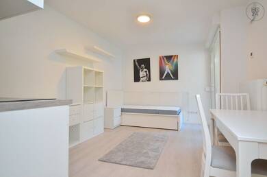Wohnung zur Miete Wohnen auf Zeit 730 € 1 Zimmer 22 m² frei ab 31.08.2025 Südstadt 50 Fürth 90763