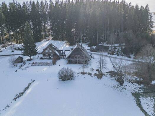 Einfamilienhaus zum Kauf 1.100.000 € 14 Zimmer 3.822 m² Grundstück Schönwald im Schwarzwald 78141