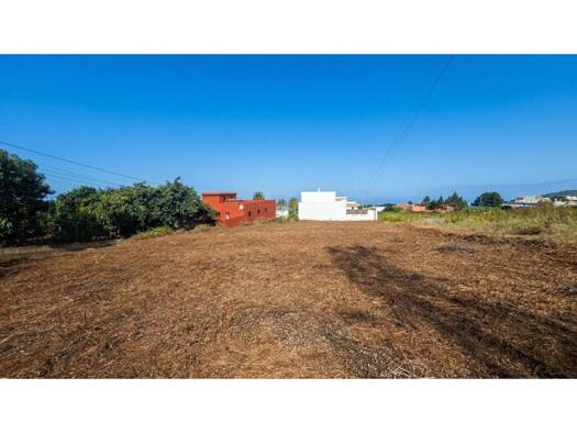 Acker-/Waldstück zum Kauf 122.000 € Carretera Agua García TF-228 53A Tacoronte 38350