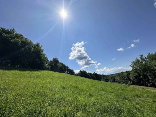 Sonstiges zum Kauf als Kapitalanlage geeignet 869.000 € 8.697 m² Grundstück Am Kaiserberg Lannach 8502