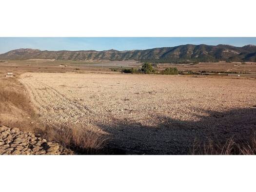 Acker-/Waldstück zum Kauf 99.999 € Salinas 03638
