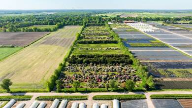 Land-/Forstwirtschaft zum Kauf provisionsfrei Edewechterdamm Friesoythe / Altenoythe 26169