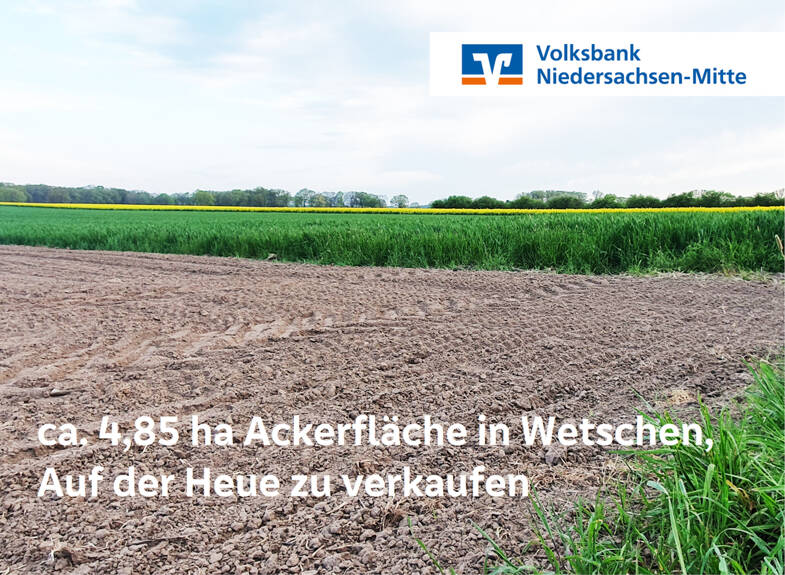 Land-/Forstwirtschaft zum Kauf 48.525 m² Grundstück Wetschen 49453
