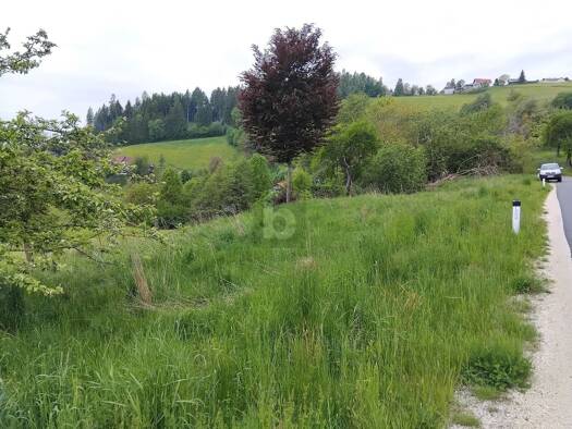 Grundstück zum Kauf 49.000 € 834 m² Grundstück Griffen 9112