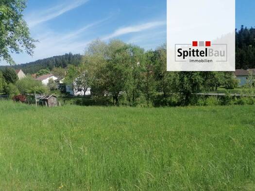 Grundstück zum Kauf 95.000 € 987 m² Grundstück Rotenzimmern Dietingen 78661