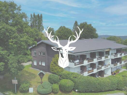 Studio zum Kauf 130.000 € 2 Zimmer 53 m² frei ab sofort Höchenschwand 79862