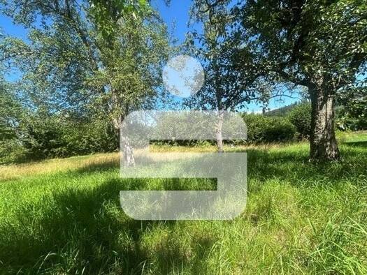 Grundstück zum Kauf 150.000 € 551 m² Grundstück Waldkirchen Waldkirchen 94065