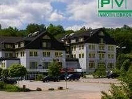 Wohnung zur Miete 250 € 1 Zimmer 35 m² Schwarzenberg Schwarzenberg/Erzgeb. 08340