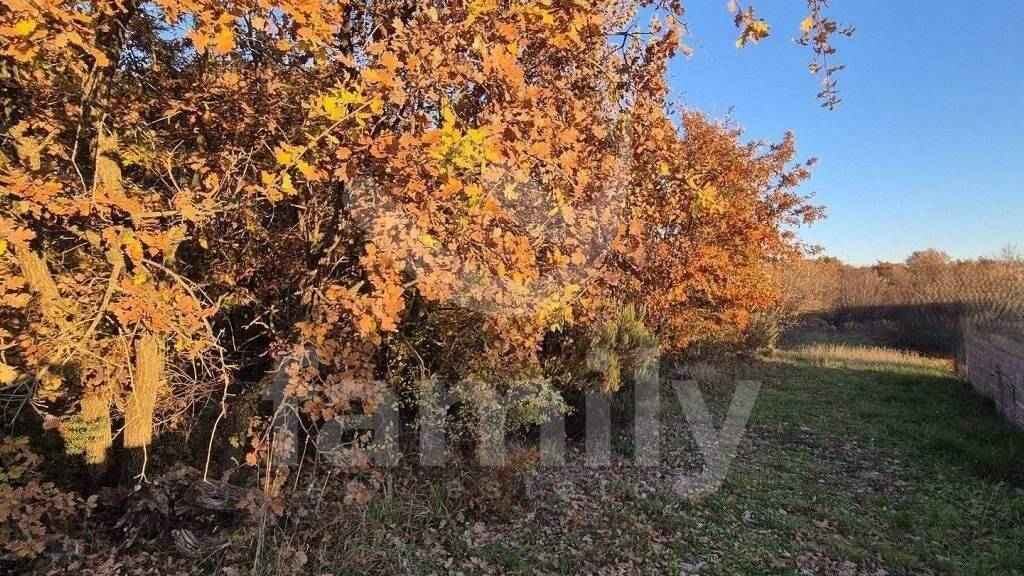 Land-/Forstwirtschaft zum Kauf 72.700 € Vodnjan