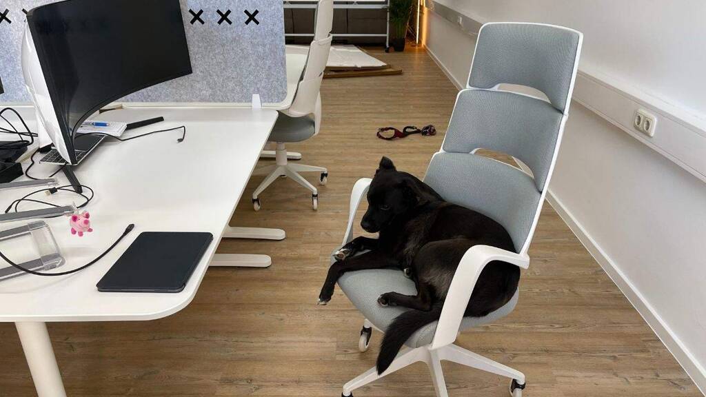 Bürofläche zur Miete provisionsfrei 200 € 4 m² Bürofläche Zeppelinstraße Hochbrück Garching bei München 85748