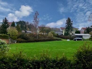 Grundstück zum Kauf 49.500 € 1.688 m² Grundstück Mechelgrün Mechelgrün 08541