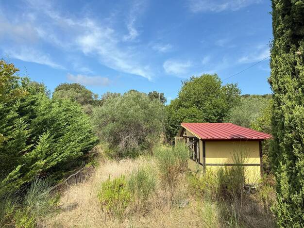 Grundstück zum Kauf 115.000 € 12.000 m² Grundstück Olivenhain und Weinberg mit Meerblick, Wohnwagen, Follonica 58022