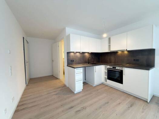 Studio zur Miete 665 € 1 Zimmer 29,9 m² EG frei ab sofort Schweinau Nürnberg 90441