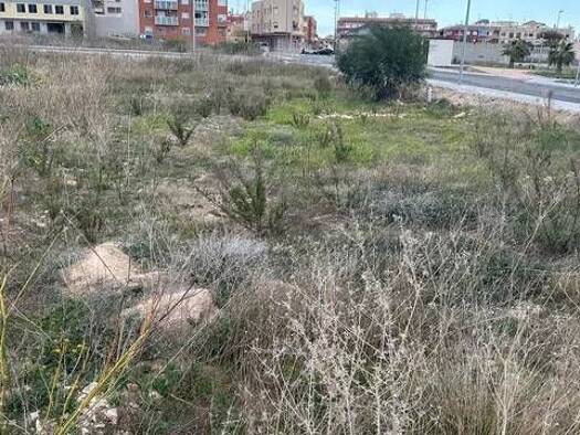 Wohn- und Gewerbegrundstück zum Kauf 1.186.500 € Calle San Mateo Los Montesinos 03187