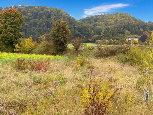 Grundstück zum Kauf provisionsfrei 332.000 € 899 m² Grundstück frei ab sofort Marktl 84533
