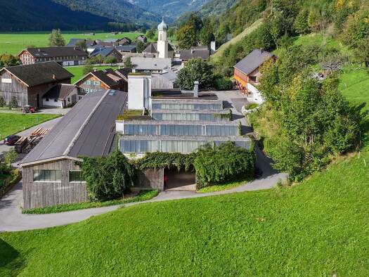 Lagerhalle zur Miete 1.700 m² Lagerfläche Schnepfau 6882