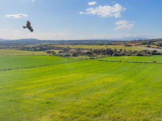 Grundstück zum Kauf 375.000 € 14.206 m² Grundstück Manacor 07500