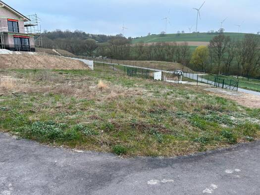 Grundstück zum Kauf provisionsfrei 229.000 € 845 m² Grundstück Welschbillig 54298