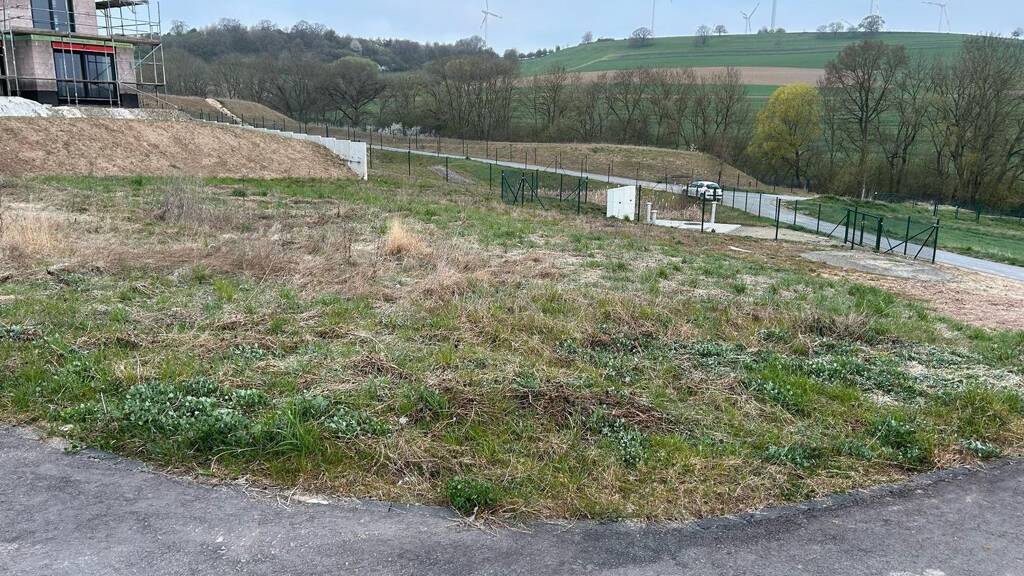 Grundstück zum Kauf provisionsfrei 215.000 € 845 m² Grundstück Welschbillig 54298