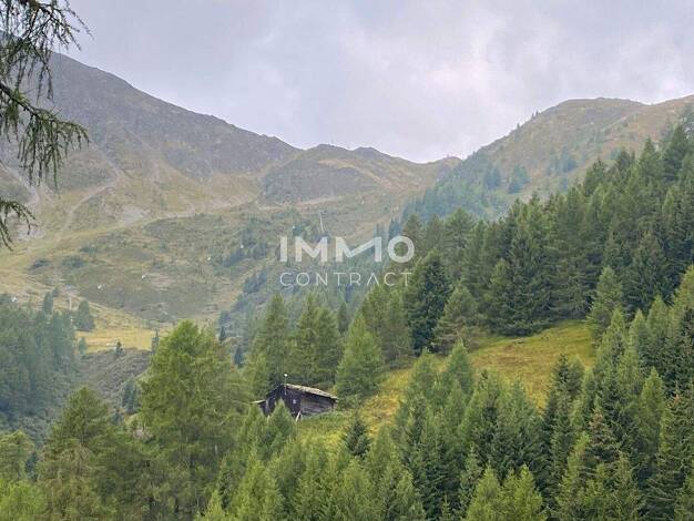 Land-/Forstwirtschaft zum Kauf 350.000 € Kals am Großglockner 9981