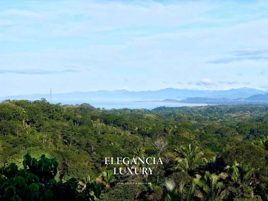 Bauernhof zum Kauf 1.690.874 € 7.147 m² Grundstück Cóbano