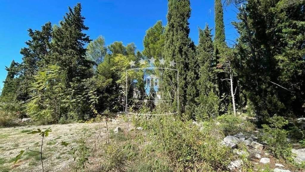Land-/Forstwirtschaft zum Kauf 59.000 € Starigrad Starigrad