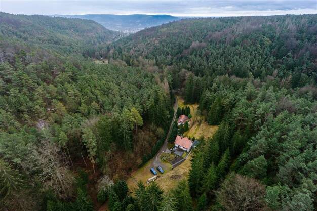 Einfamilienhaus zum Kauf 790.000 € 7 Zimmer 267 m² frei ab sofort Ammerbach - Ort Jena 07745