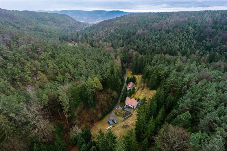 Einfamilienhaus kaufen in Jena Burgau immowelt