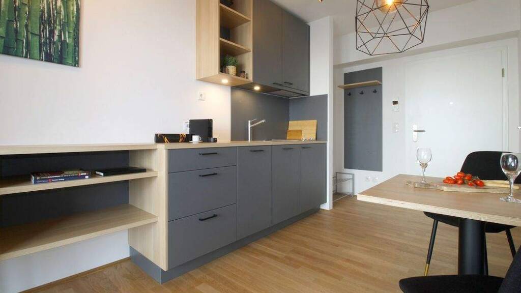 Studio zur Miete auf Zeit - Erstbezug 1.290 € 1 Zimmer 30 m² frei ab sofort Plittersdorf Bonn 53175