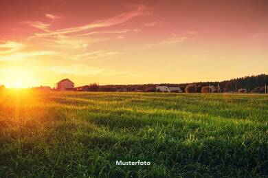 Land-/Forstwirtschaft zur Zwangsversteigerung 347.490 € 3.861 m² Grundstück Strullendorf Strullendorf 96129
