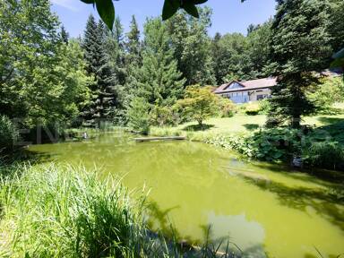 Villa zum Kauf 1.500.000 € 7,5 Zimmer 331 m² 13.912 m² Grundstück frei ab sofort Hötzl Simbach a.Inn 84359