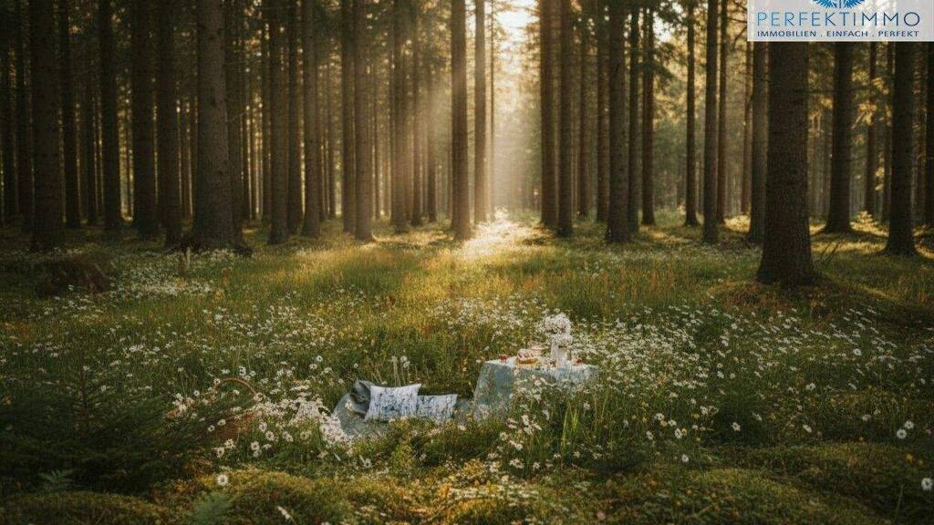 Grundstück zum Kauf 995.400 € 553 m² Grundstück Innsbruck 6020