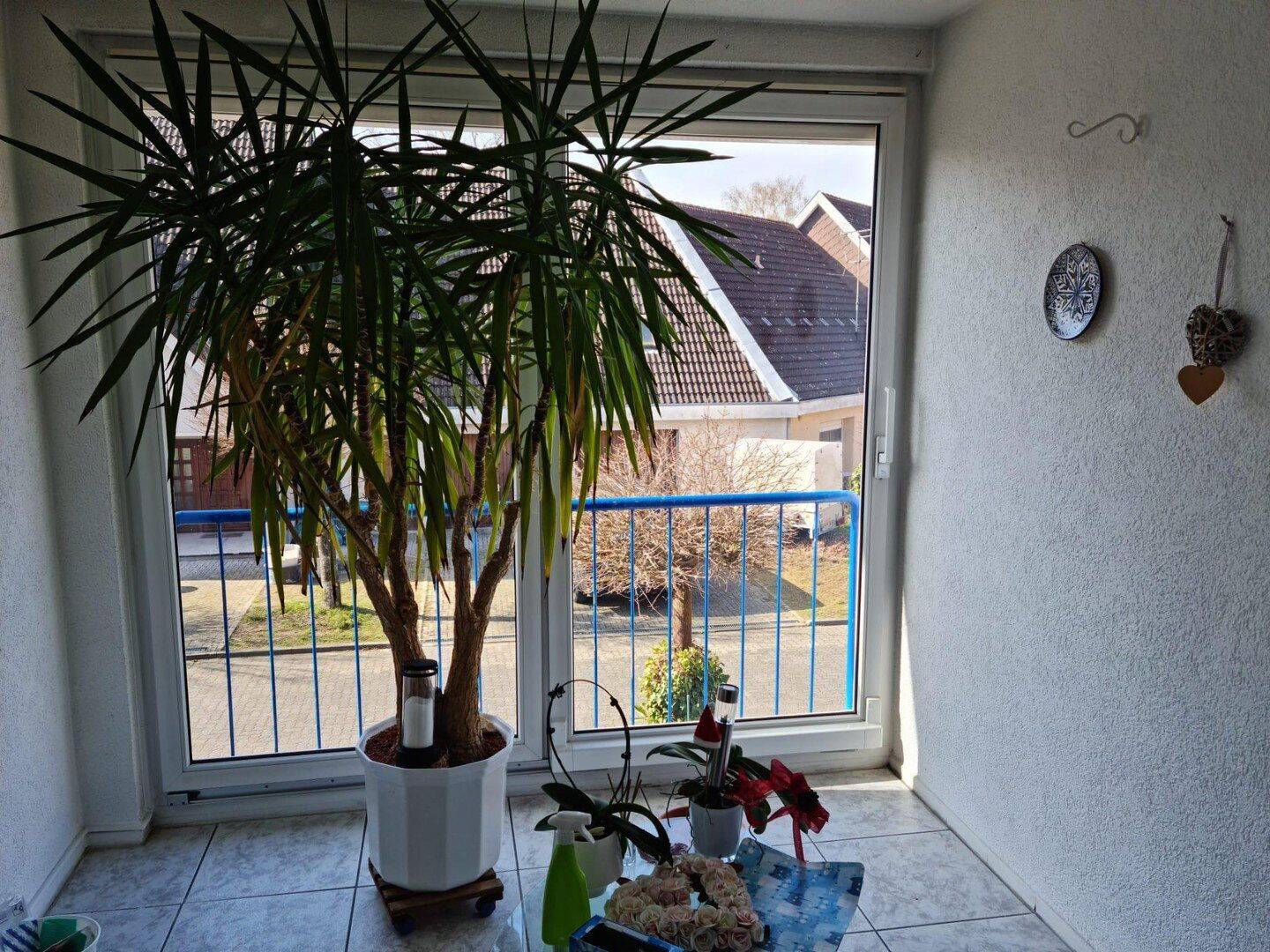 Haus – Karlsruhe, Südstadt - Mehr