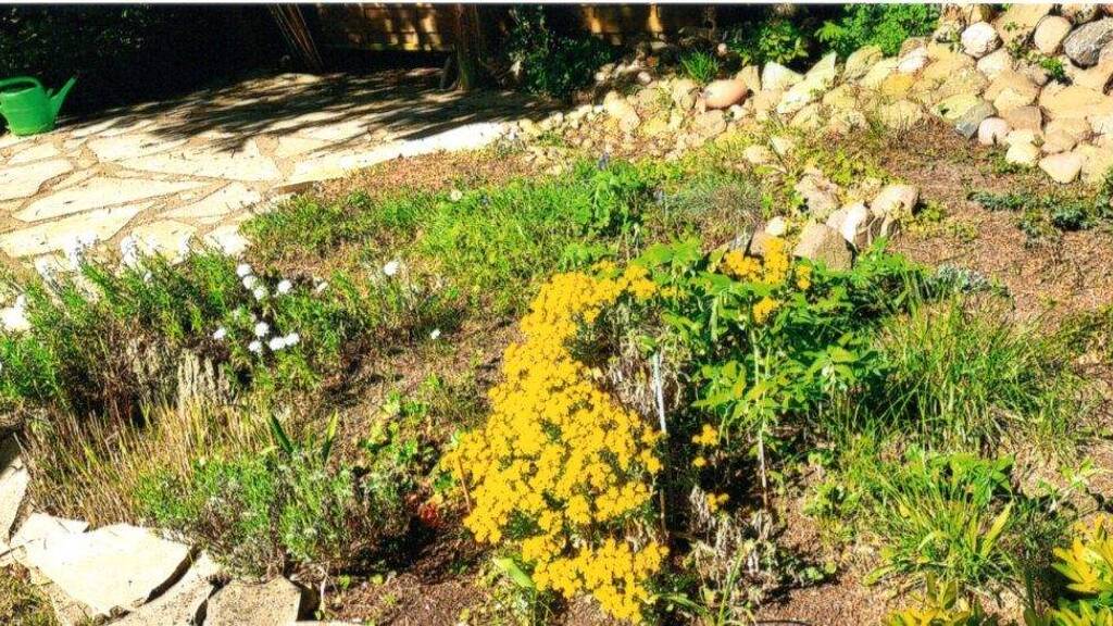 Grundstück zum Kauf provisionsfrei 460.000 € 1.155 m² Grundstück Falkensee 14612