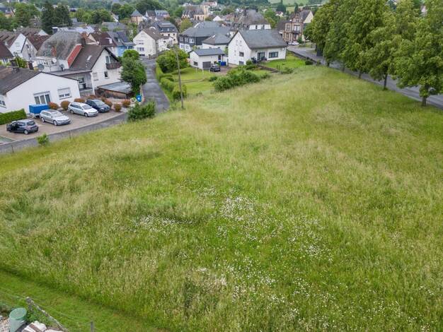 Grundstück zum Kauf 237.500 € 2.500 m² Grundstück Dudeldorf 54647