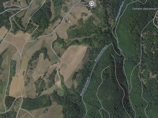 Landwirtschaftliche Fläche zum Kauf provisionsfrei 5.900 € 4.096 m² 4.096 m² Grundstück Auf der Klepp Idar-Oberstein 55743