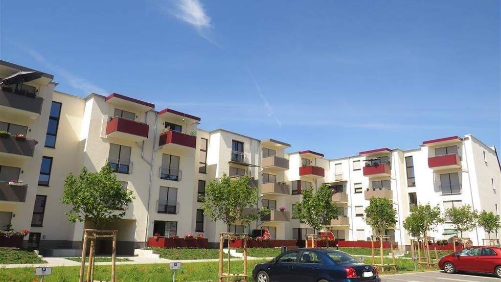 Wohnung zur Miete 485 € 2 Zimmer 52,4 m² EG frei ab 01.03.2026 Burgstraße 75 Bitterfeld Bitterfeld-Wolfen 06749