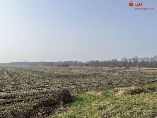 Land-/Forstwirtschaft zum Kauf 24.975 m² Grundstück Neuscharrel Friesoythe 26169