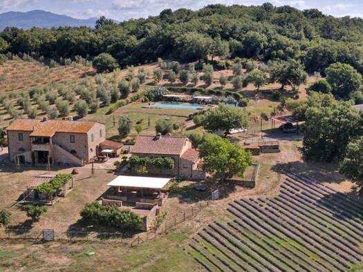 Haus zum Kauf 1.650.000 € 577 m² Gavorrano 58023