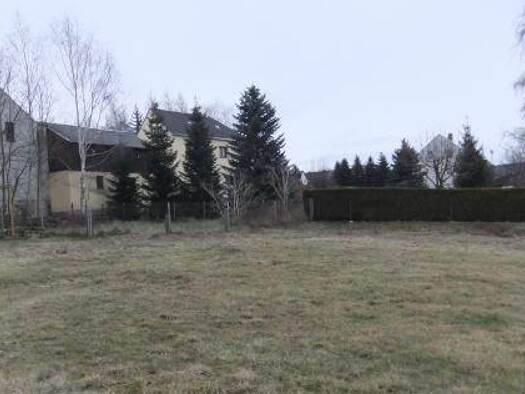 Grundstück zum Kauf 52.000 € 1.000 m² Grundstück Rebesgrün Auerbach 08209
