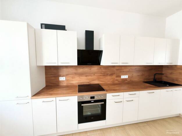 Wohnung zur Miete 1.729 € 5 Zimmer 123 m² EG frei ab 01.10.2026 Hechtstraße 44 Leipziger Vorstadt Ortsamtsbereich Neustadt 01097