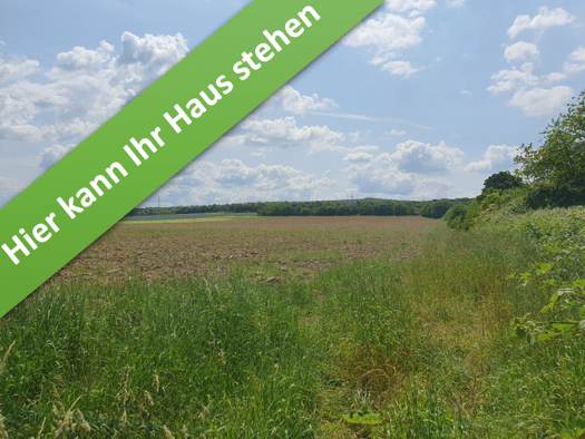 Einfamilienhaus zum Kauf provisionsfrei 328.450 € 4 Zimmer 109 m² 659 m² Grundstück Salder Nord 38229