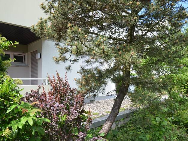 Studio zur Miete 510 € 1,5 Zimmer 31 m² EG frei ab sofort Schillerstr. 4 Veitshöchheim 97209