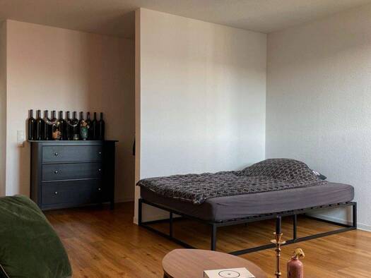 Wohnung zur Miete 610 € 1 Zimmer 45 m² 1. Geschoss frei ab sofort Maybachstraße 16 Sandreuth Nürnberg 90441