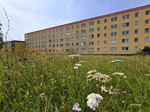 Wohnung zur Miete 425 € 3 Zimmer 56,9 m² 3. Geschoss frei ab sofort Straße der Jugend 1 Sandersdorf 06792