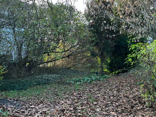 Grundstück zum Kauf 270.000 € 540 m² Grundstück Niederdorla Berlin 12623