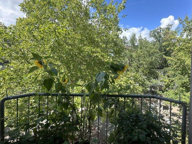 Wohnung zur Miete 660 € 2 Zimmer 59 m² 2. Geschoss Innenstadt Kaiserslautern 67655