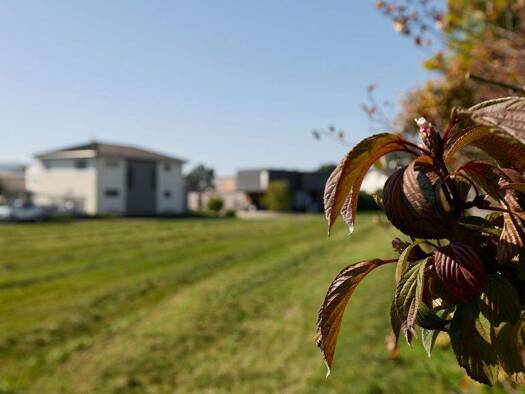Grundstück zum Kauf 1.845 m² Grundstück Im Acker Fussach 6972